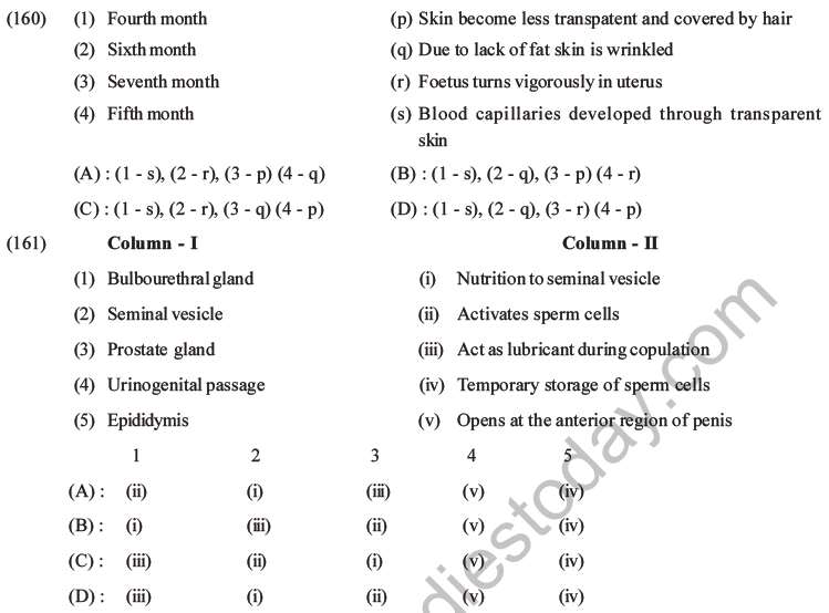 Neet Biology Human Reproduction Mcqs Set A Multiple Choice Questions 0819